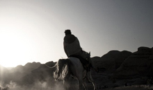 自动发货平台的ddos网页端源码